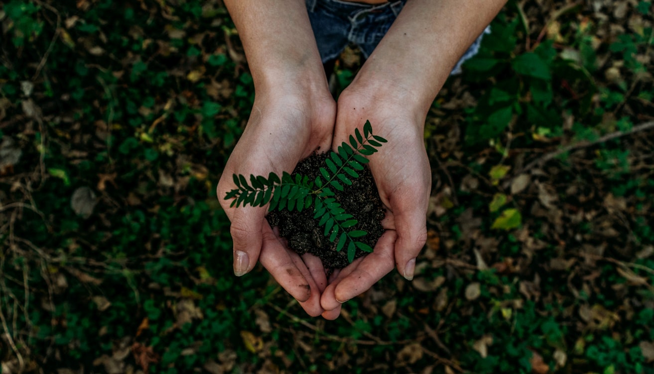 Sustainable reusable items representing the environmental case for reusable vapes