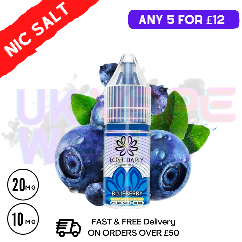 Blueberry LOST Daisy Nic Salt 10ML eLiquid - UK Vape World