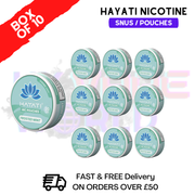 Frosted Mint Hayati Nic Pouches Box Of 10 - ukvapeworld