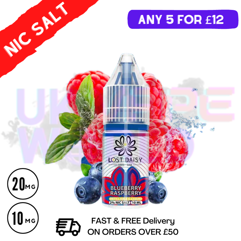 vape travel kit Blueberry Raspberry LOST Daisy Nic Salt 10ML eLiquid